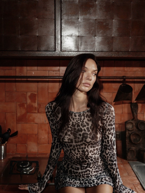 Sheer Leopard Print Dress Editorial Photoshoot References: Dark Glamour & Rustic Chic