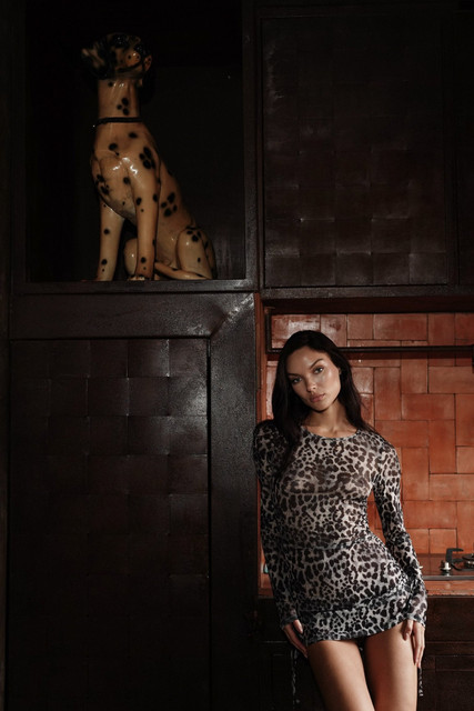 Sheer Leopard Print Dress Editorial Photoshoot References: Dark Glamour & Rustic Chic