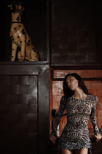 Sheer Leopard Print Dress Editorial Photoshoot References: Dark Glamour & Rustic Chic