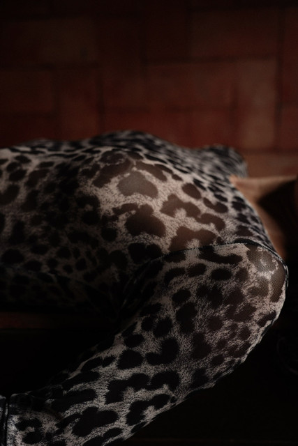 Sheer Leopard Print Dress Editorial Photoshoot References: Dark Glamour & Rustic Chic