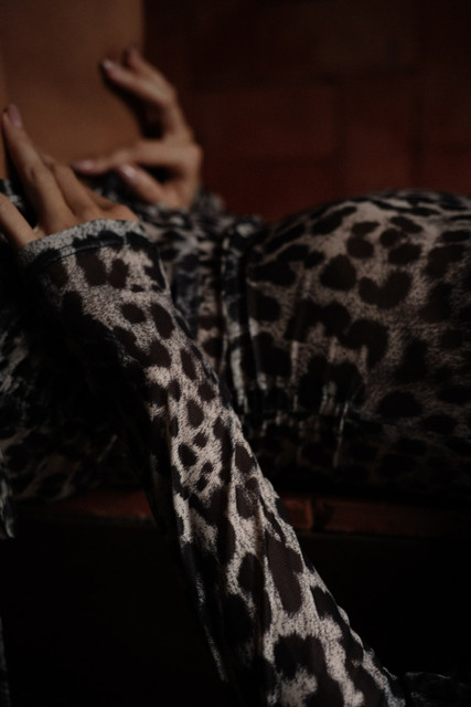 Sheer Leopard Print Dress Editorial Photoshoot References: Dark Glamour & Rustic Chic