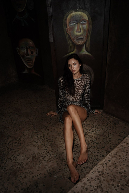 Sheer Leopard Print Dress Editorial Photoshoot References: Dark Glamour & Rustic Chic