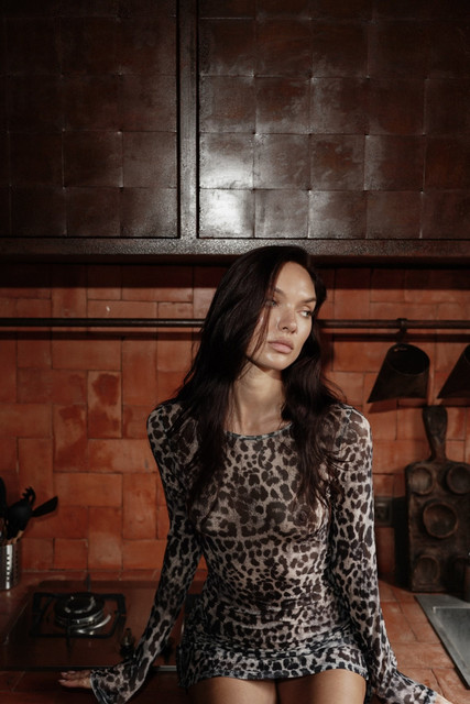 Sheer Leopard Print Dress Editorial Photoshoot References: Dark Glamour & Rustic Chic