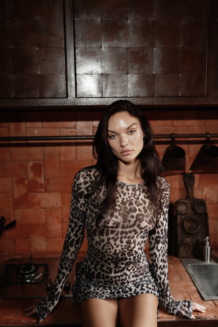 Sheer Leopard Print Dress Editorial Photoshoot References: Dark Glamour & Rustic Chic