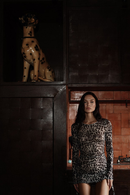 Sheer Leopard Print Dress Editorial Photoshoot References: Dark Glamour & Rustic Chic
