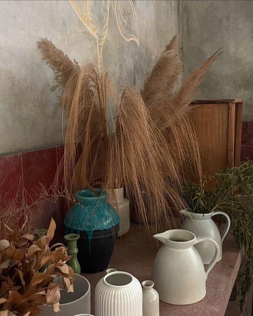 Rustic Elegance Decor Still Life: Artisanal Home Visual Reference Pack