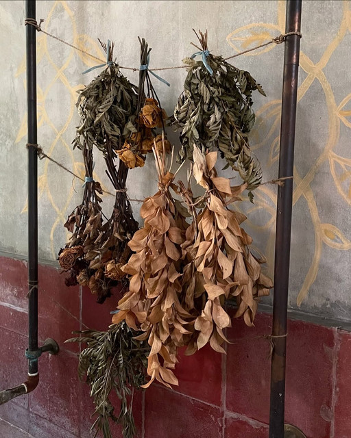 Rustic Dried Flora Display: Earthy Botanical Still Life Editorial Photoshoot Pack